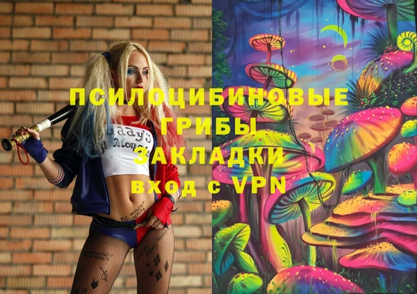 трава Арсеньев
