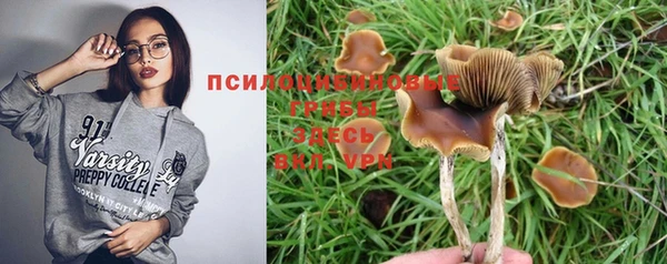 МДПВ Аркадак