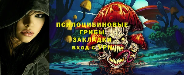 дмт Армянск
