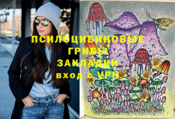 дмт Армянск